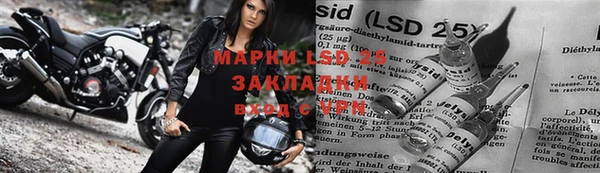 apvp Касимов